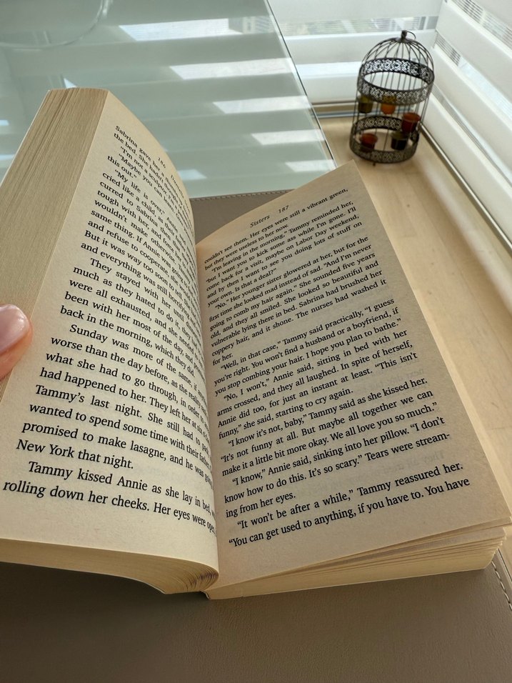 Sisters - Kitap - Görsel 4
