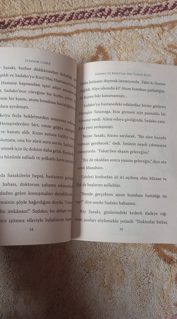 Sadako ve Kağıttan Bin Turna Kuşu - Eleanor Coerr - Görsel 3