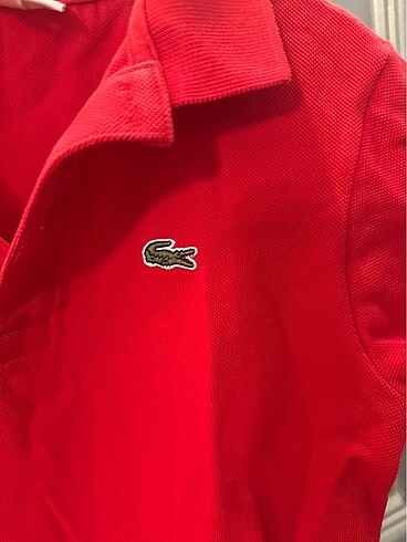 6 Yaş Beden Lacoste orjinal