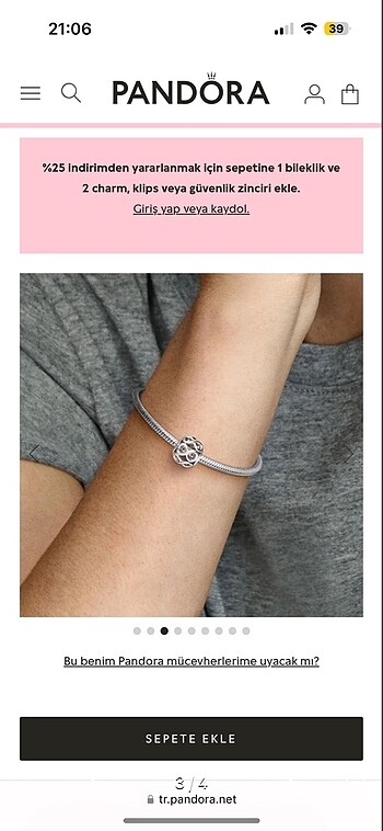 Pandora pandora charm