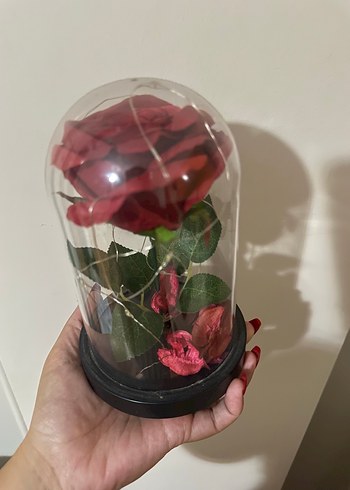 Diğer Kırmızı Gül Cam Fanus İçinde Dekoratif