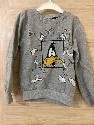 Erkek çocuk sweatshirt