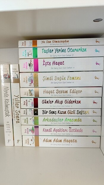 bir genç kızın gizli defteri serisi