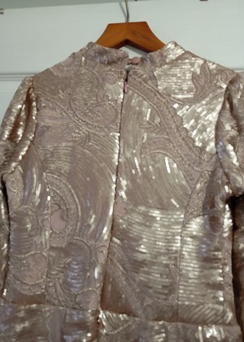 Bej Parlak Uzun Kollu Vintage Abiye Elbise - Görsel 4