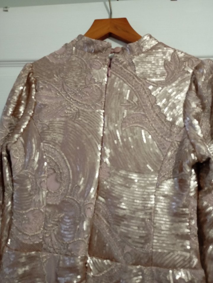 Bej Parlak Uzun Kollu Vintage Abiye Elbise - Görsel 4