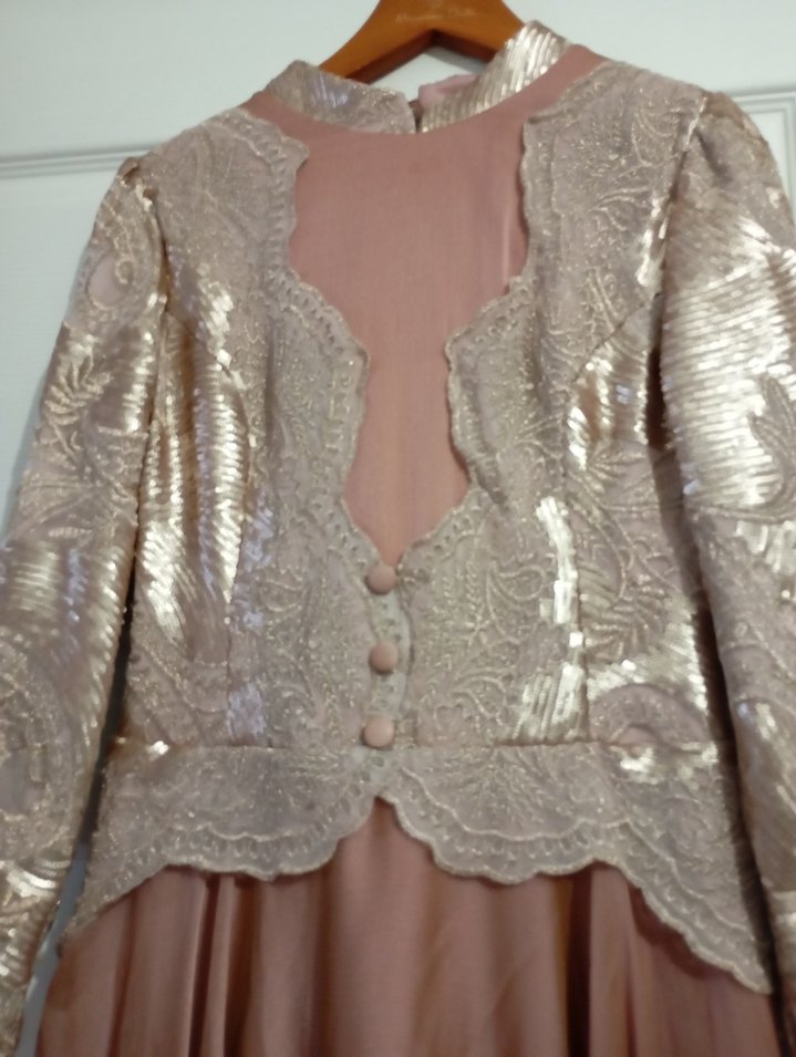 Bej Parlak Uzun Kollu Vintage Abiye Elbise - Görsel 3