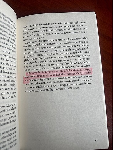 Beden Renk Wilhem Schmid - Aşk