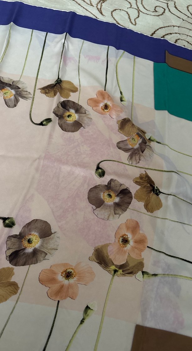 SilkHome Çok Renkli Kadın İpek eşarp - Görsel 3