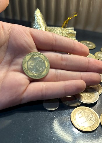 Yeni 5 Türk lirası - Görsel 2