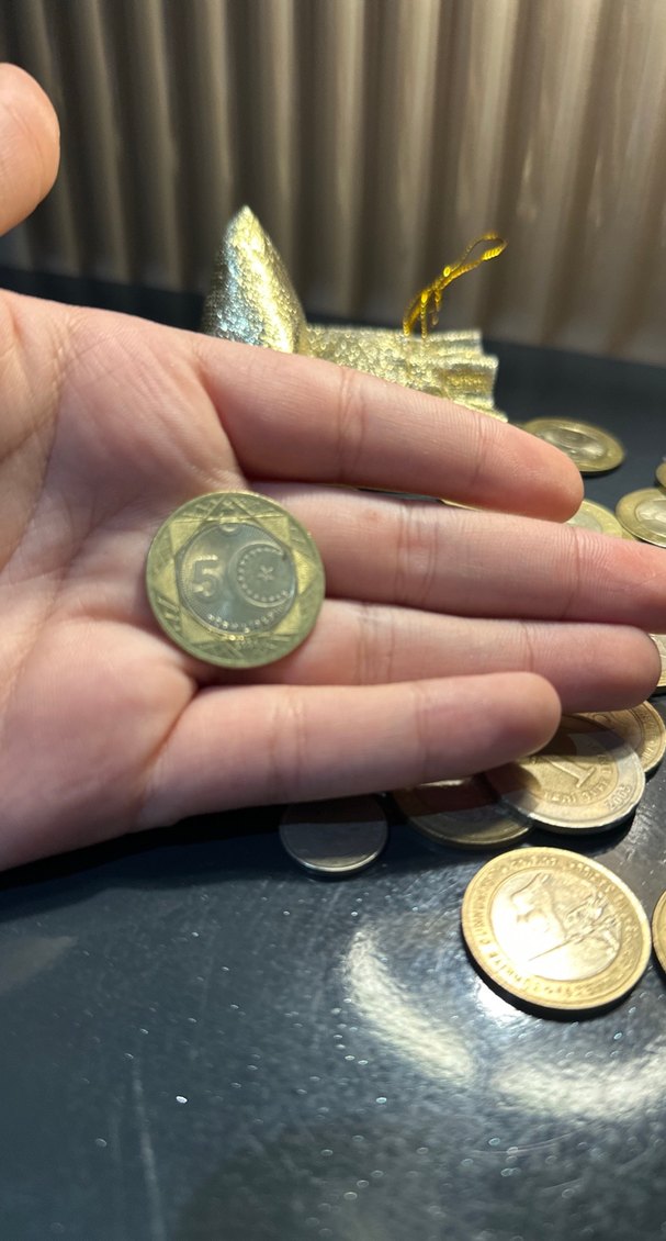 Yeni 5 Türk lirası - Görsel 2