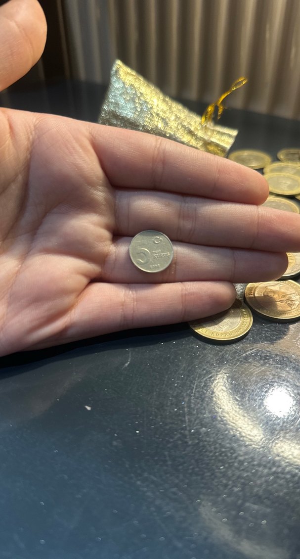 2006 yılında basılan 5 kuruş - Görsel 3