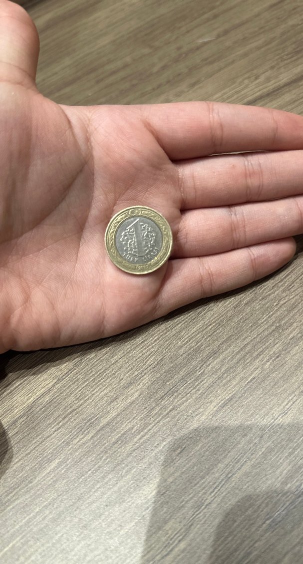 Sınırlı sayıda üretilen büyük taarruz un 100. Yıl parası - Görsel 3