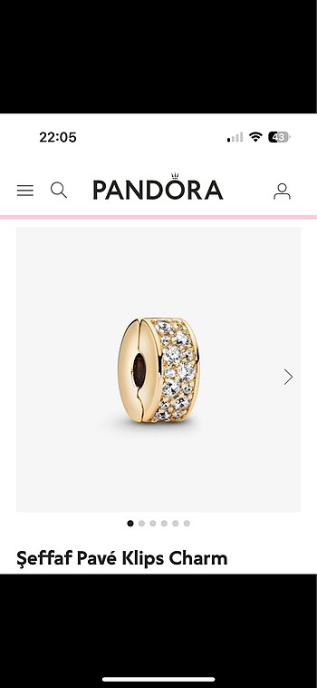 Charm Pandora