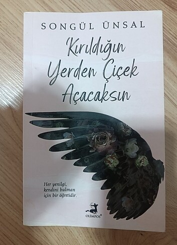 Kitap