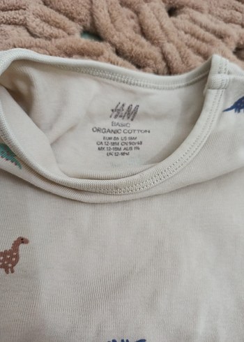 Mavi ve Desenli Bebek Body 2'li Set - Görsel 4