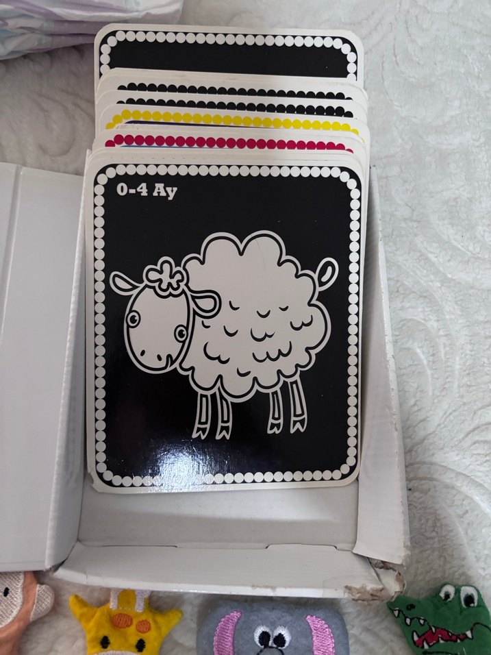 Bebeğim İlk Zeka Kartları - Çok Renkli-Parmak kukla seti - Görsel 3