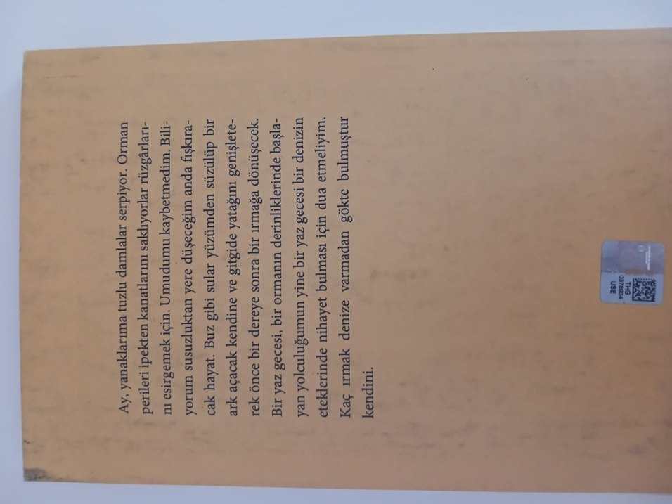 Ay Tıradı - Şiir Kitabı - Görsel 2