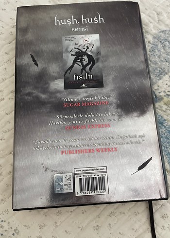  Beden Renk Çığlık - Becca Fitzpatrick