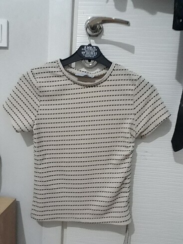 28 Beden Crop