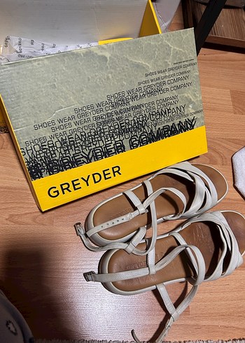 greyder 37