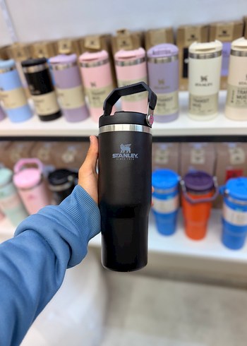 Renkli Stanley Çocuk Termos Matara - Görsel 9