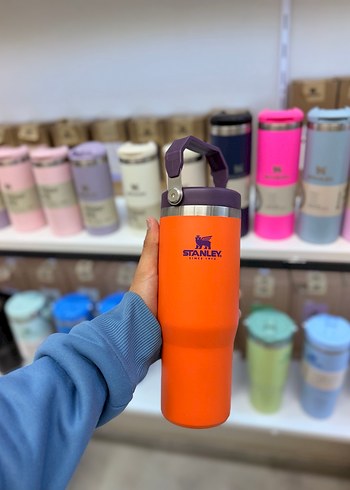 Renkli Stanley Çocuk Termos Matara - Görsel 6