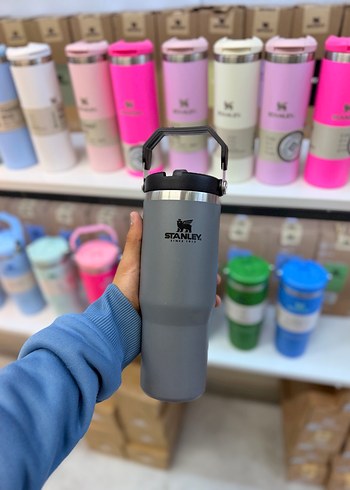 Renkli Stanley Çocuk Termos Matara - Görsel 2