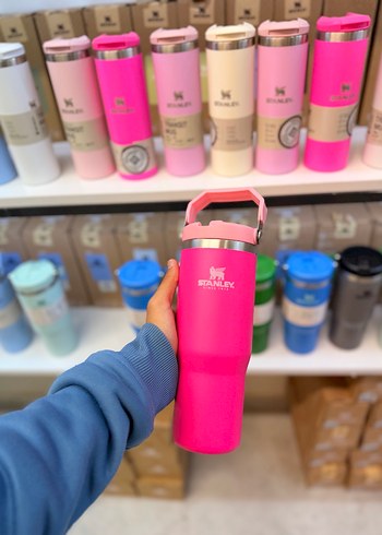 Renkli Stanley Çocuk Termos Matara - Görsel 3