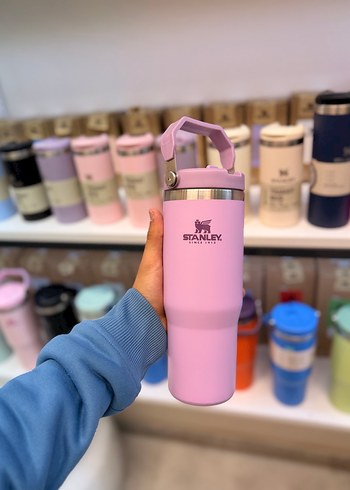 Renkli Stanley Çocuk Termos Matara - Görsel 10