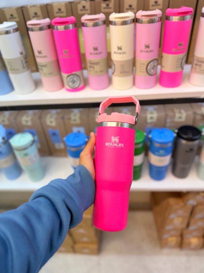 Renkli Stanley Çocuk Termos Matara - Görsel 3