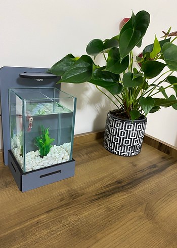 Gri Modern Beta Balığı Akvaryum ve LED Işık - Görsel 3