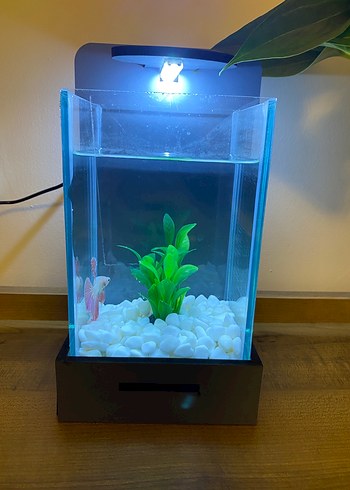 Gri Modern Beta Balığı Akvaryum ve LED Işık - Görsel 2