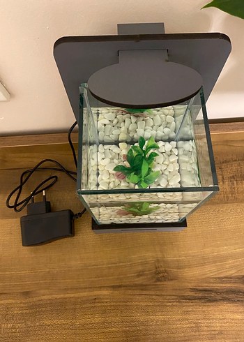 Gri Modern Beta Balığı Akvaryum ve LED Işık - Görsel 4