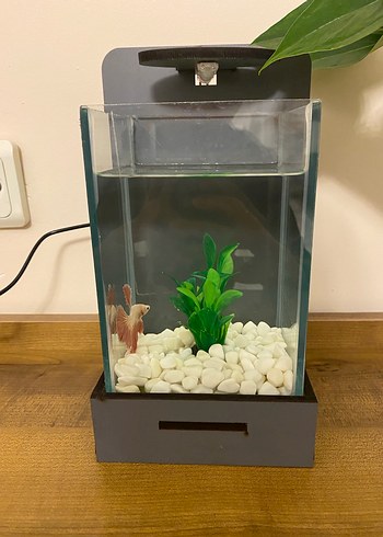 Gri Modern Beta Balığı Akvaryum ve LED Işık - Görsel 5