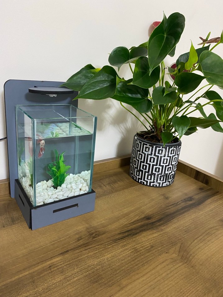 Gri Modern Beta Balığı Akvaryum ve LED Işık - Görsel 3