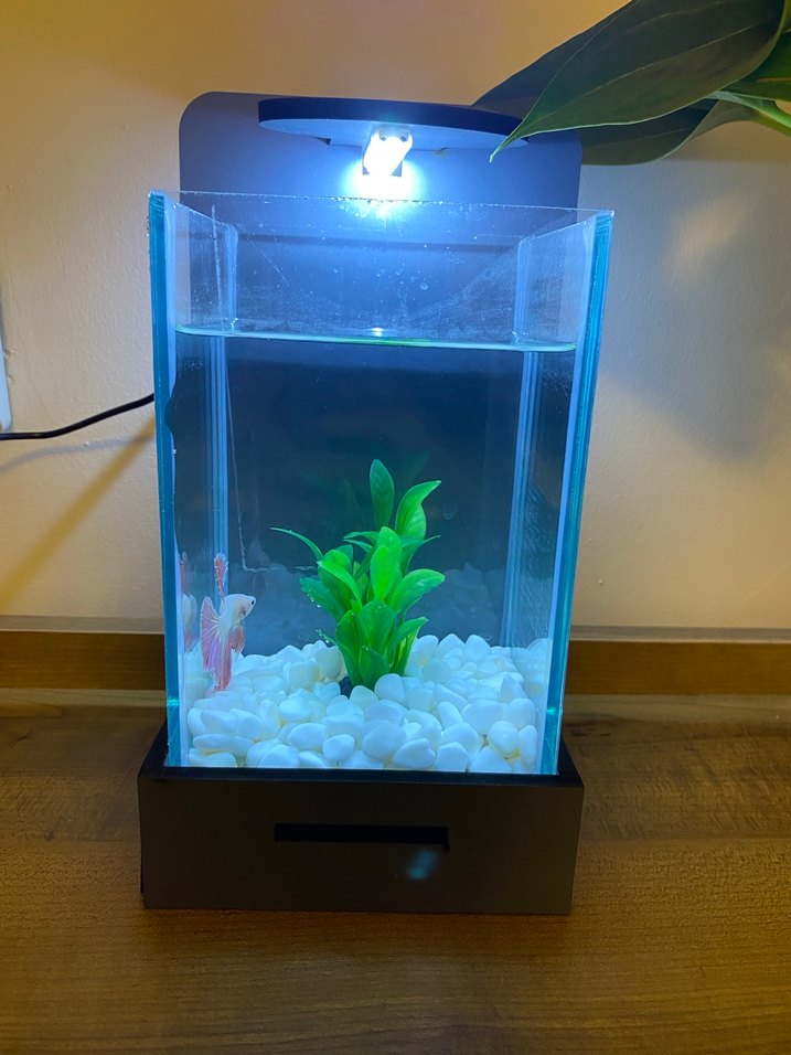 Gri Modern Beta Balığı Akvaryum ve LED Işık - Görsel 2