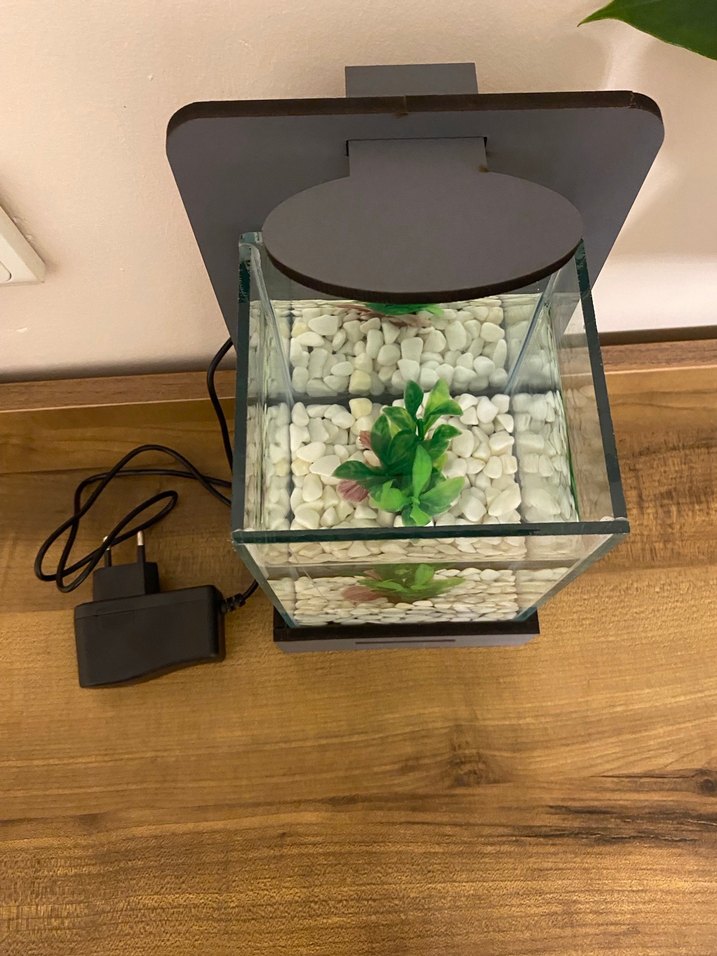 Gri Modern Beta Balığı Akvaryum ve LED Işık - Görsel 4