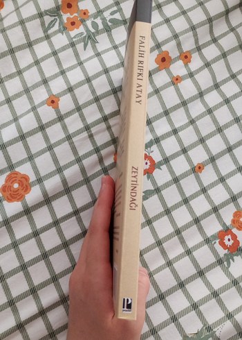 Zeytindağı - Görsel 2