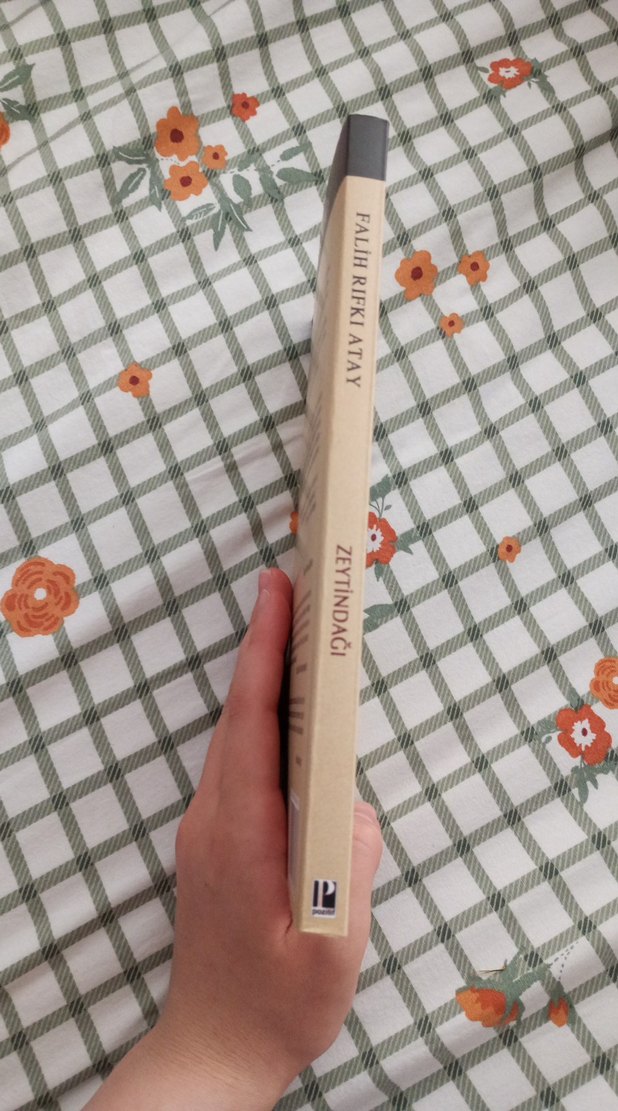 Zeytindağı - Görsel 2