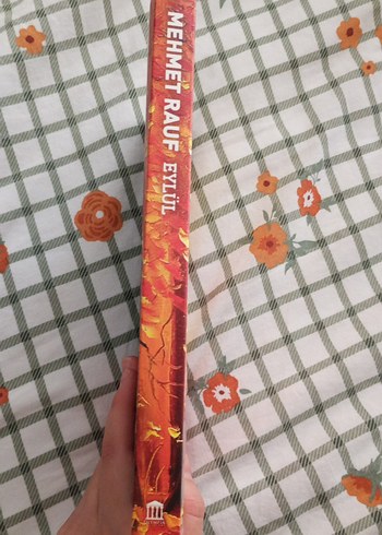 Mehmet Rauf - Eylül Romanı - Görsel 2