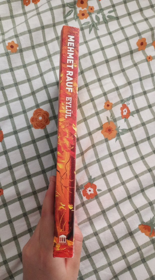 Mehmet Rauf - Eylül Romanı - Görsel 2