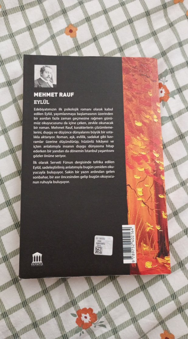 Mehmet Rauf - Eylül Romanı - Görsel 3