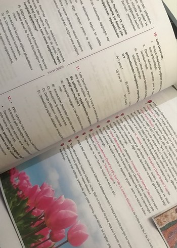 11. Sınıf Tarih Soru Bankası - Görsel 3