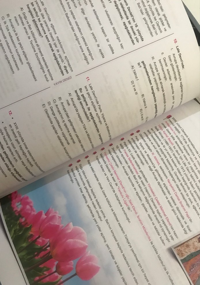 11. Sınıf Tarih Soru Bankası - Görsel 3