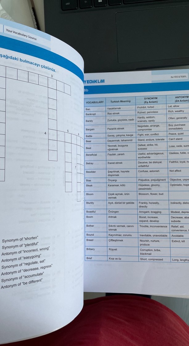 YDS & TOEFL Kelime Kaynağı Kitabı - Görsel 4