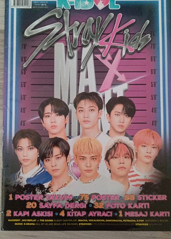 stray kids dergi