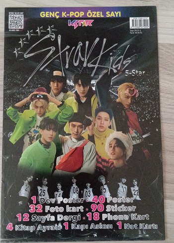 stray kids dergi