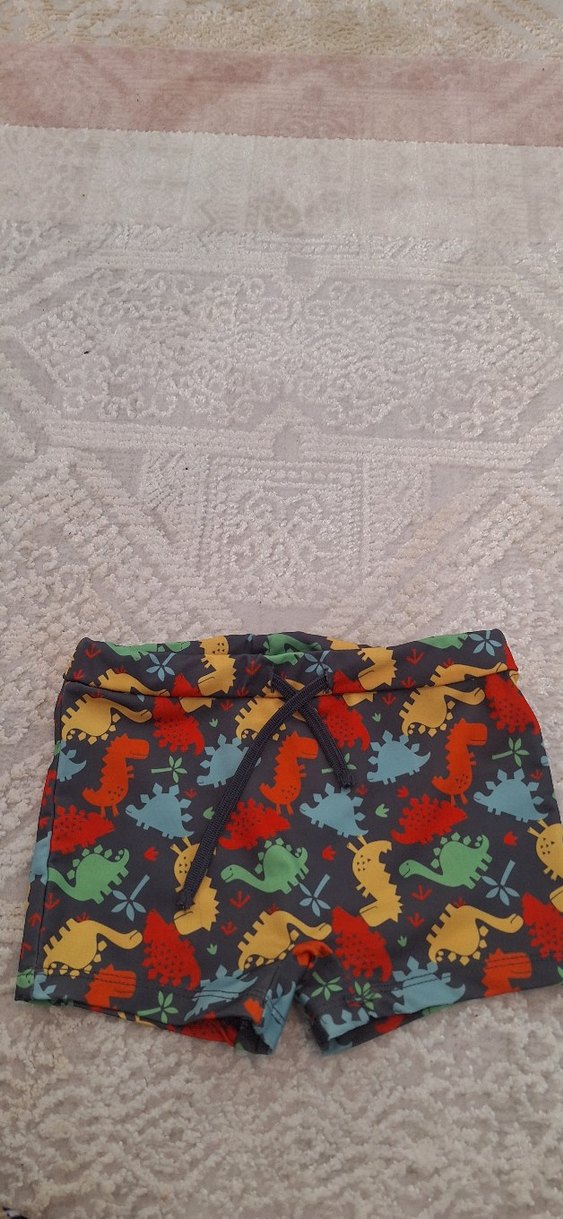 Kısa Kollu Dinozor Baskılı Erkek Mayo Takımı - Görsel 3