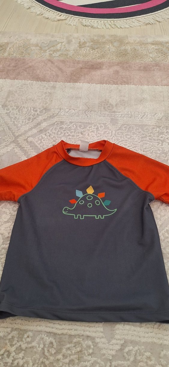 Kısa Kollu Dinozor Baskılı Erkek Mayo Takımı - Görsel 2