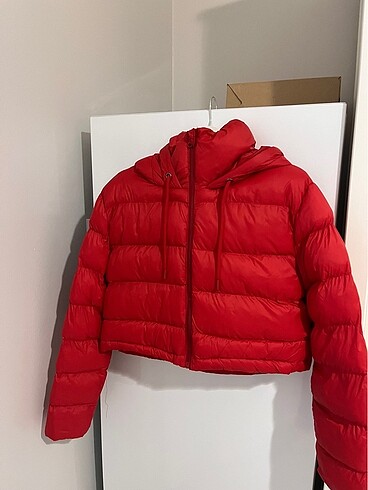 crop montt